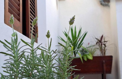 San José Apartamento | Departamento de dos plantas en zona centro San José, Entre Ríos