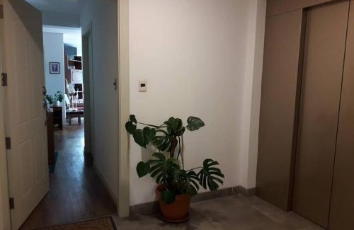 Downtown La Paz Apartamento | DEPARTAMENTO en La Paz MUNDO LUNA