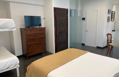 Barrio Italia Apartamento | Departamento en Providencia, Barrio Italia