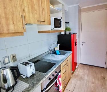 Osorno Apartamento | Departamento Estudio Centro