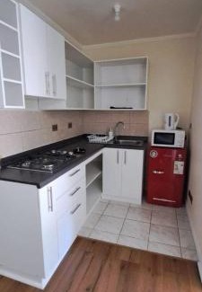 Osorno Apartamento | Departamento full equipado con 1 habitación matrimonial
