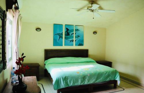 Ixtapa Apartamento | DEPARTAMENTO PELICANOS IXTAPA