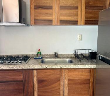 Ixtapa Apartamento | Departamento Pelicanos