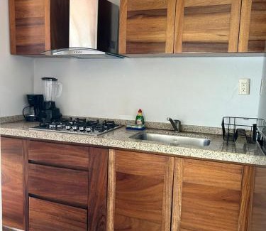 Ixtapa Apartamento | Departamento Pelicanos