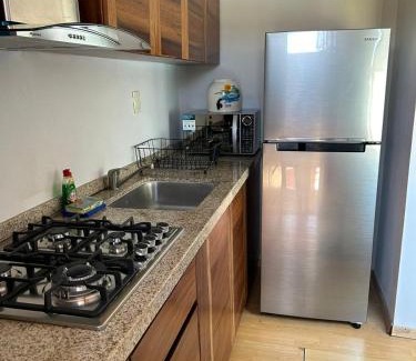 Ixtapa Apartamento | Departamento Pelicanos