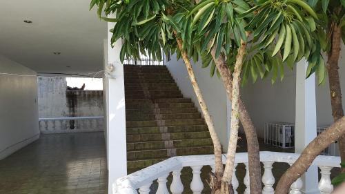 Las Gaviotas Apartamento | Departamento Zona Dorada Mazatlán 6