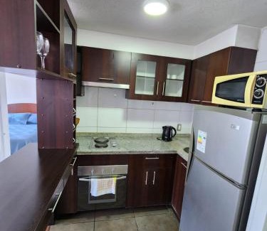 Downtown Santiago Apartamento | Departamento19