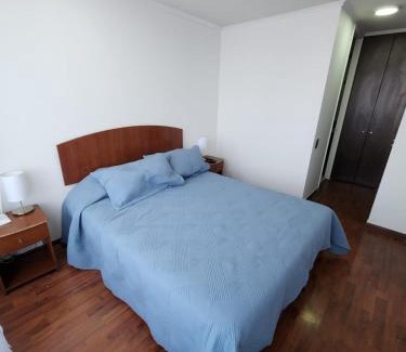 Downtown Santiago Apartamento | Departamento19