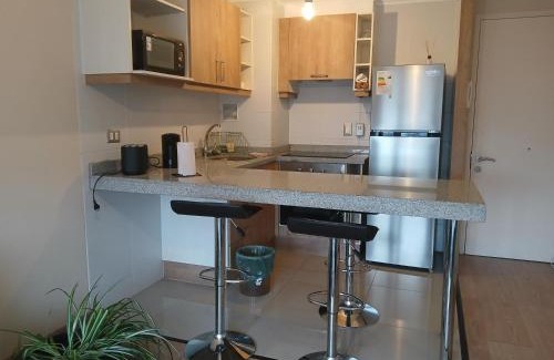 Osorno Apartamento | Departamentos MyL 505