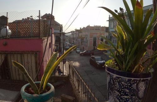 Xalapa Apartamento | Depto CENTRO Parque Juarez