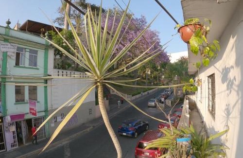 Xalapa Apartamento | Depto CENTRO Parque Juarez