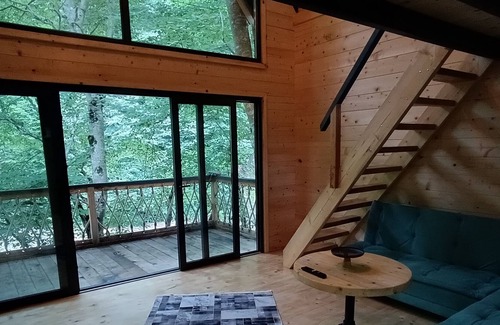 Rize Cabina | Dere Kenarı Orman içi dağ evi