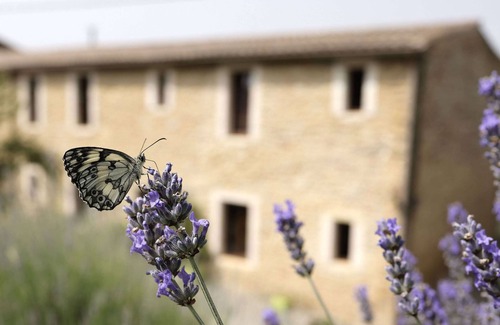 Ribouisse Cabaña | Descripción de la casa rural jasmin
