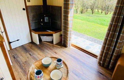 Llandysul Casa | Beautiful Shepherd's Hut with Hot Tub at The Daffodil (Primrose)