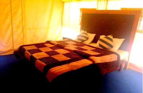 Hundur Otro | Desert Oasis Camp