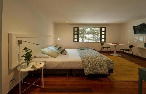 El Palomar Apartamento | Design & Comfort in Zona G 101