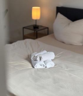 Deidesheim Apartamento | Design Penthouse im alten Schloss Deidesheim