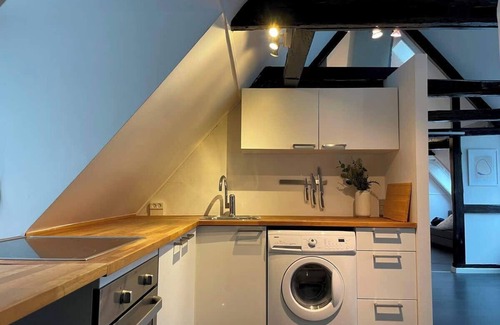 Indre By Apartamento | Designer Loft - Direct "Marble Church" Views