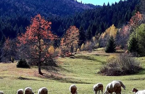 Montenegro Casa | Desin Do-Kuća Rakovića
