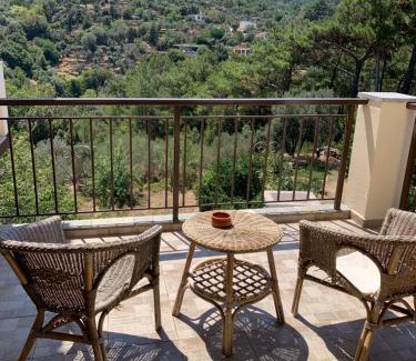 Armenistis Apartamento | Despina Studios Raxes Ikaria # 1