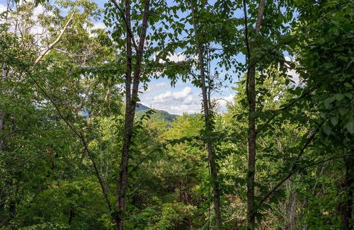 Cullowhee Casa | Destination Outdoors Holly Hideaway - A unique yurt perfect for glamping!