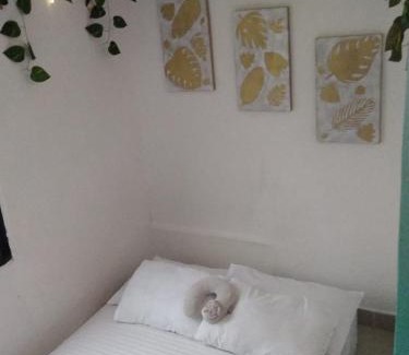 San Rafael Casa | DESTINY Apto Parque