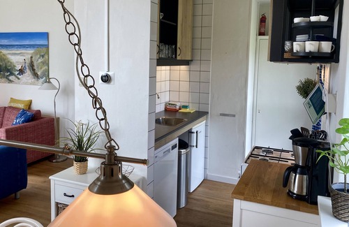 Breezand Casa | Casa de vacaciones para 6 personas en el fondo de las dunas a 100 metros de la playa. Vrouwenpolder Zeeland
