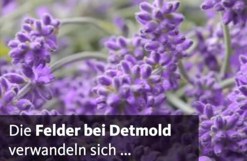 Detmold-Nord Apartamento | Detmolder Loft 3