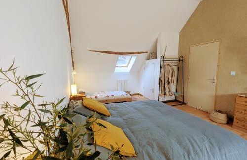 Thenay Casa | Deux maisons berrichonnes avec jardin privatif et cour partagée, idéale pour les groupes - FR-1-591-617