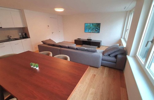 District 2 Apartamento | DHG Luxury Apartments Zurich-Wollishofen