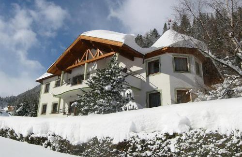 Pettneu am Arlberg Casa | Diana