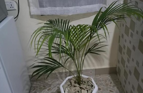 Ukunda Apartamento | Diani Ocean View Apartment