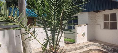 Diani Beach Cama Y Desayuno | Diani Peaceful Garden