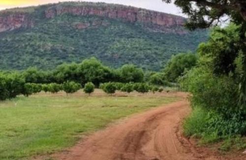 Lydenburg Casa | Die Boom Guest Farm