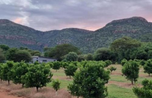 Lydenburg Casa | Die Boom Guest Farm
