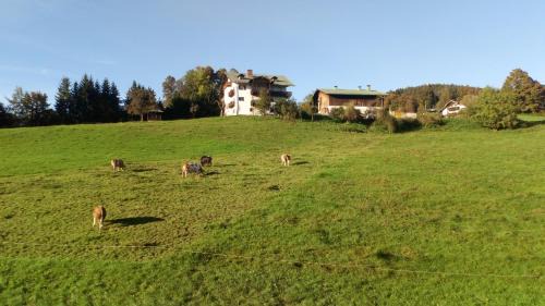 Bischofswiesen Casa | Die schlafende Goass