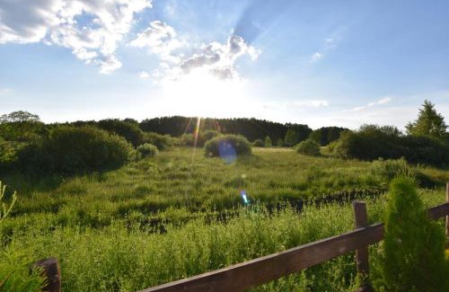 Bialowieza Villa | Diedushka Noclegi