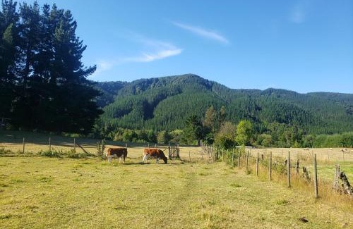 Villarrica Chalet De Esquí | Digueñe Pedregoso