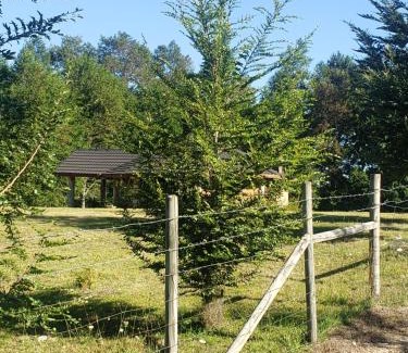 Villarrica Chalet De Esquí | Digueñe Pedregoso