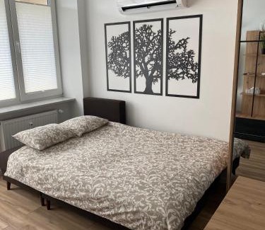 Augustow Apartamento | DiM Augustów Śródmieście