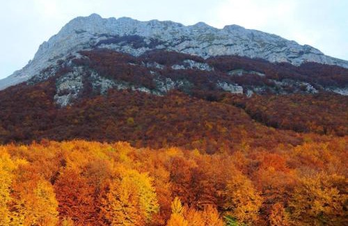 Campo di Giove Apartamento | Dima Home Campo di Giove