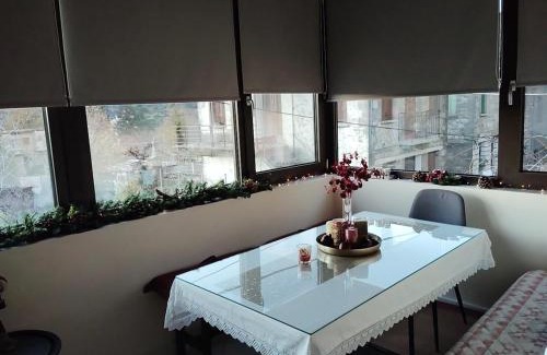 Central Tzoumerka Apartamento | Dimitra's traditional house