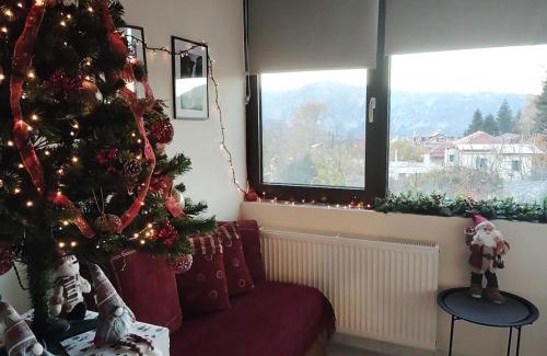 Central Tzoumerka Apartamento | Dimitra's traditional house
