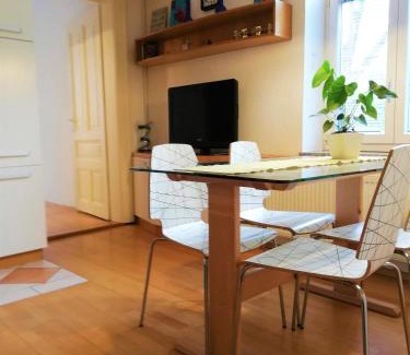 Ljubljana City Centre Apartamento | Dimora Apartments with free parking