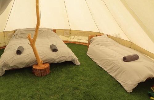 Machynlleth Otro | Dingly Dell 3 x bell tents