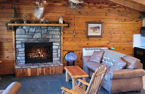 Sylvan Shores Cabina | Direct Waterfront Cabin with Boat Dock & Swim Deck