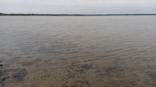 Hohenkirchen Casa | direkt am Wasser "Küstenperle"mit Meerblick und Sauna