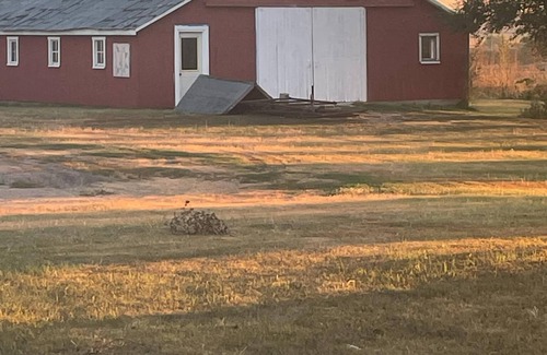 Buffalo County Casa | Dirt Road Inn, Charming 2-bedroom house located out in the beautiful countryside