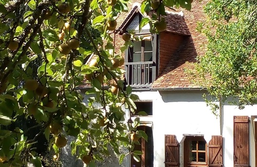 Fougeres-sur-Bievre Casa | NUEVO: casa con encanto y jardín entre Beauval y Chambord
