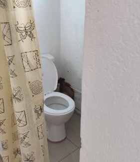 Greater Johannesburg Metropolitan Area Casa | Discovery Guest House